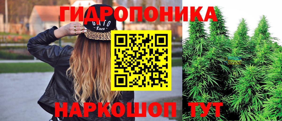 Конопля ГИДРОПОН  Вход с VPN  Бошки марихуана LSD WEED  Советский  Каннабис семена 